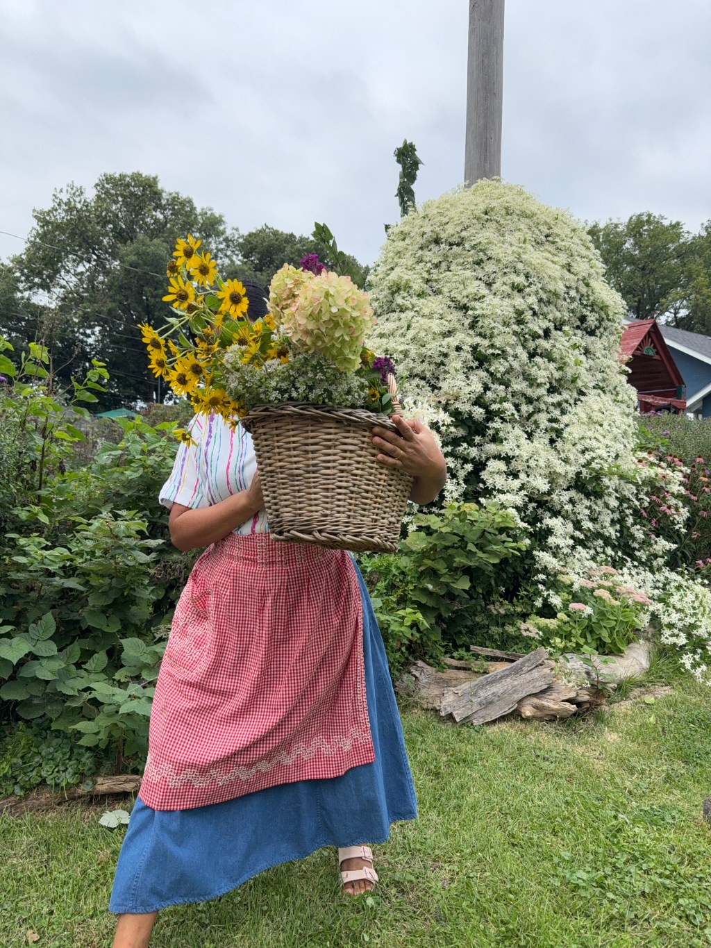 Not Showing My Face Online