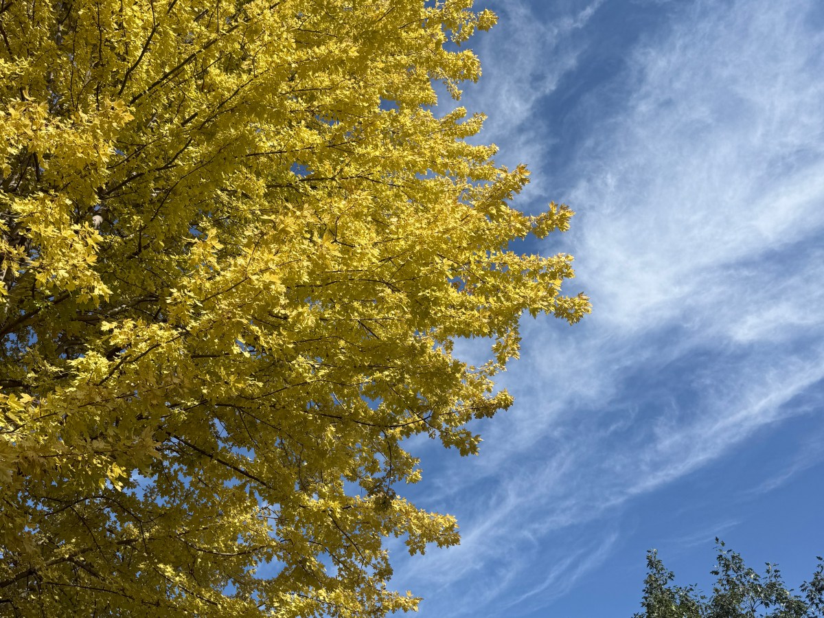 From New Age to Jesus (My Full&nbsp;Testimony)