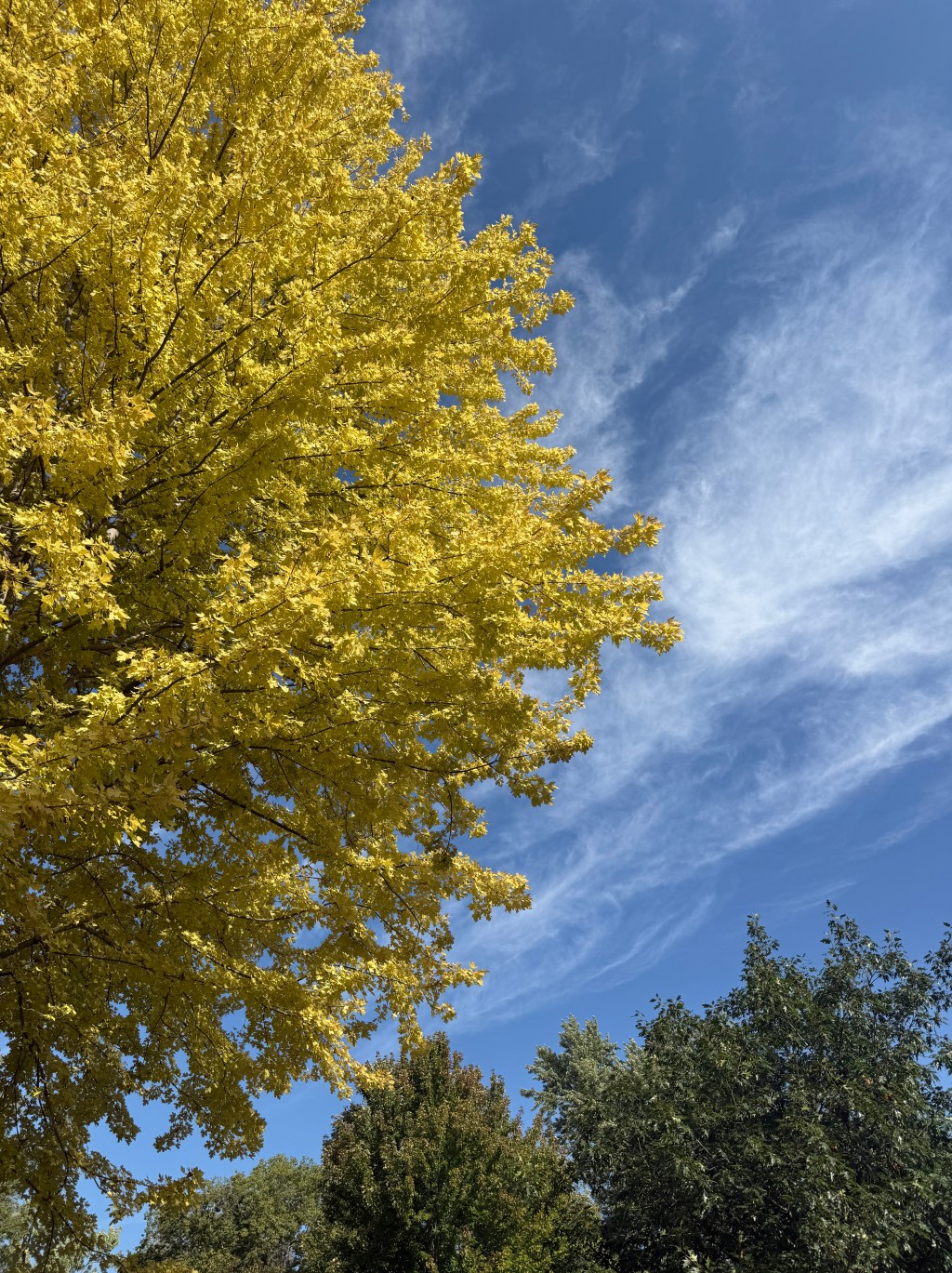 From New Age to Jesus (My Full&nbsp;Testimony)