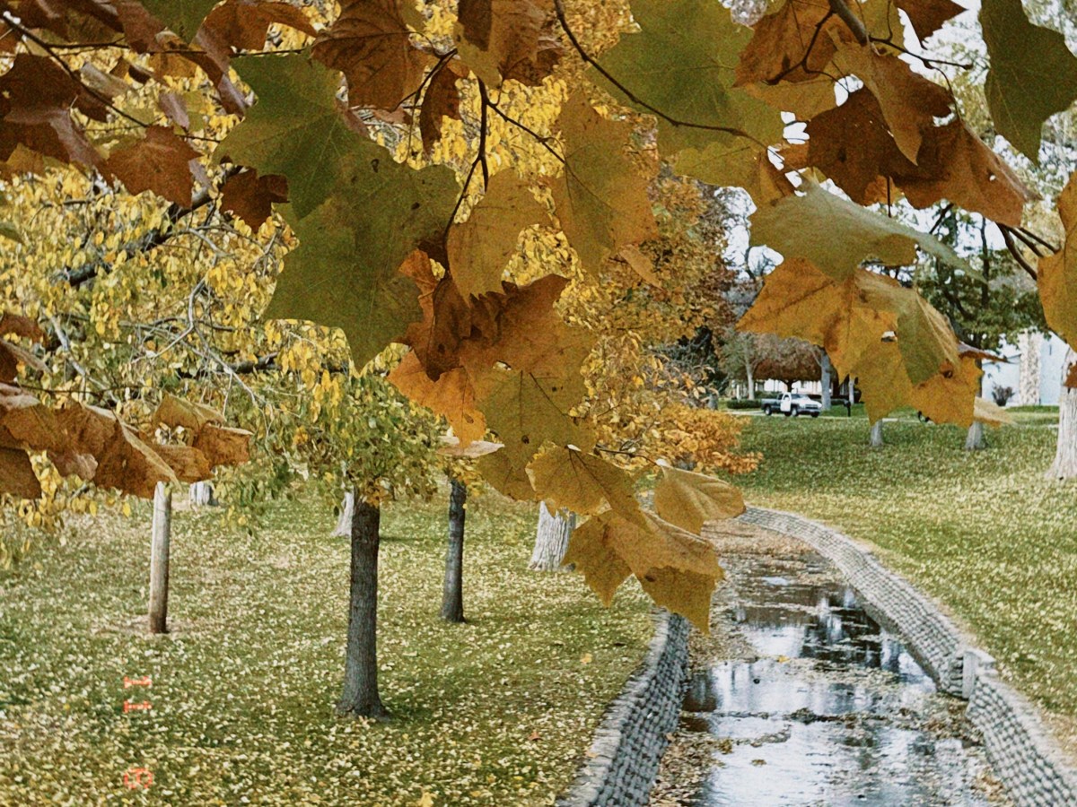 Embracing the Power of an Ordinary&nbsp;Life