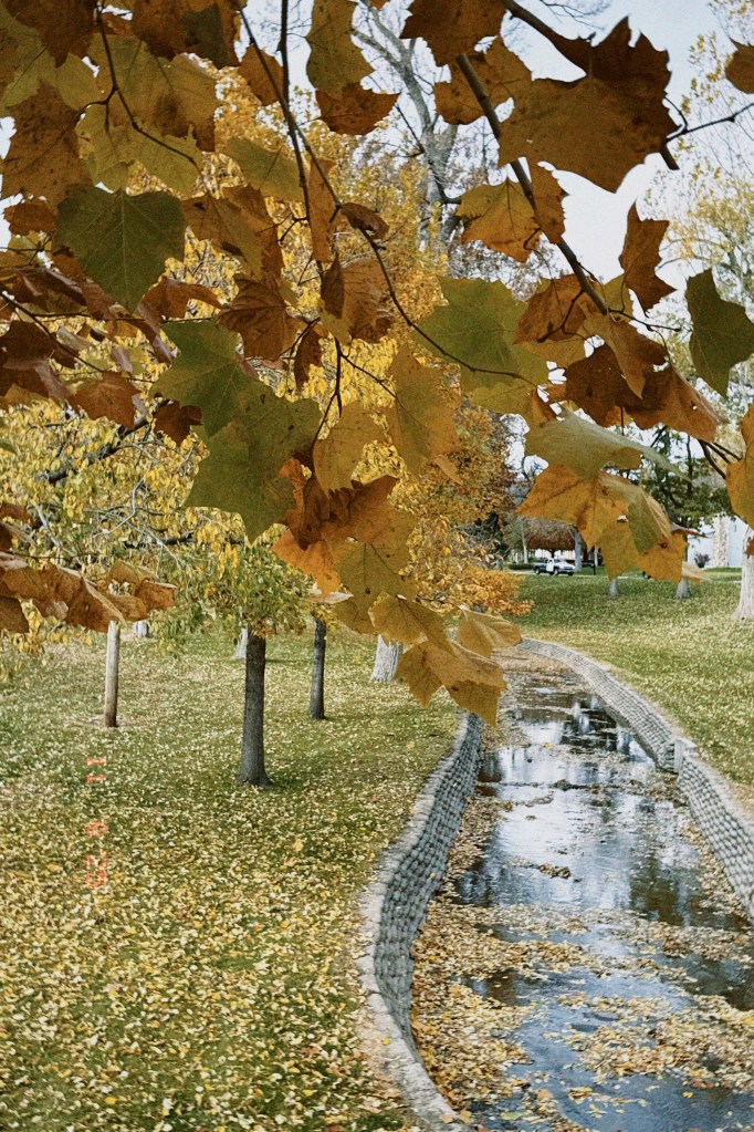 To be great is overrated